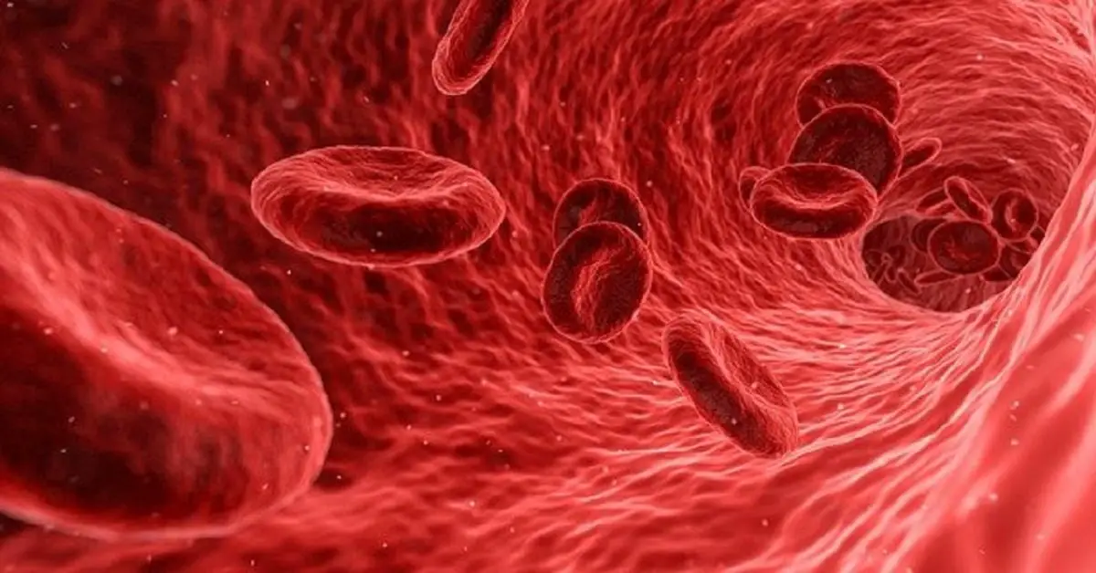 Iron helps to make red blood cells