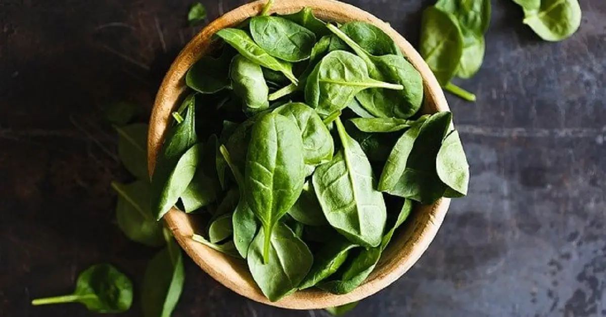 Herbs high in iron include basil leaves